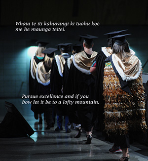 Maori Study Awards