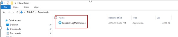 LogMeIn Rescue 12