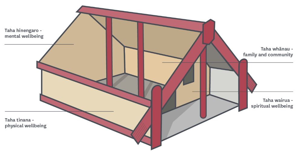 Te Whare Tapa Wha image